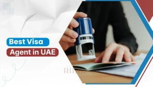 Best Visa Agent in the UAE assisting with document stamping and visa processing paperwork, highlighting professional immigration support services by FindAnyAgent.