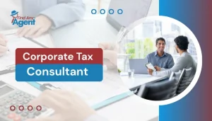 Two professionals reviewing financial documents in an office setting, representing the expert Corporate Tax Consultant services available through FindAnyAgent.